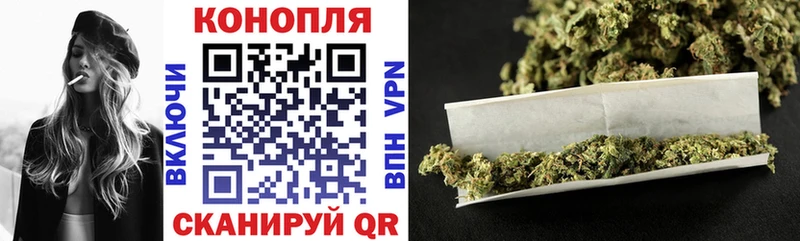 мориарти клад  Богданович  Каннабис OG Kush 